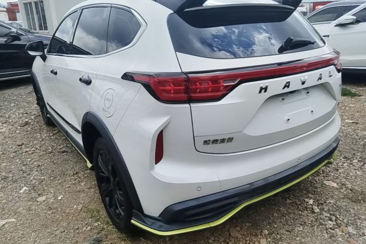 Used Haval LHERY 2021 High-Performance Version 1.5T Golden Rabbit Rear Left 45 Deg