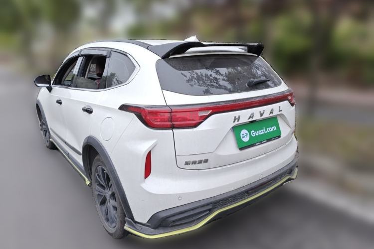 Used Haval LHERY 2021 High-Performance Version 1.5T Golden Rabbit Rear Left 45 Deg