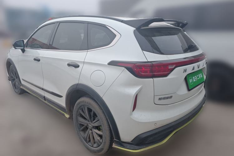 Used Haval LHERY 2021 High-Performance Version 1.5T Golden Rabbit Rear Left 45 Deg