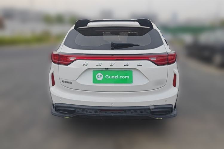 Used Haval LHERY 2021 High-Performance Version 1.5T Golden Rabbit Rear