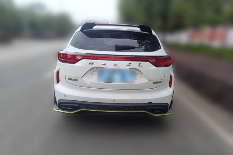 Used Haval LHERY 2021 High-Performance Version 1.5T Golden Rabbit Rear