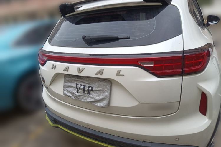 Used Haval LHERY 2021 High-Performance Version 1.5T Golden Rabbit Rear