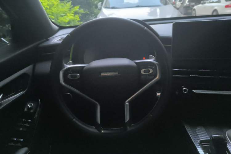 Used Haval LHERY 2021 High-Performance Version 1.5T Golden Rabbit Steering Wheel