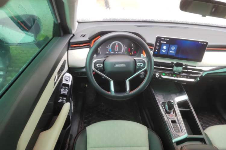 Used Haval LHERY 2021 High-Performance Version 1.5T Golden Rabbit Steering Wheel