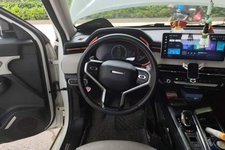 Used Haval LHERY 2021 High-Performance Version 1.5T Golden Rabbit Steering Wheel