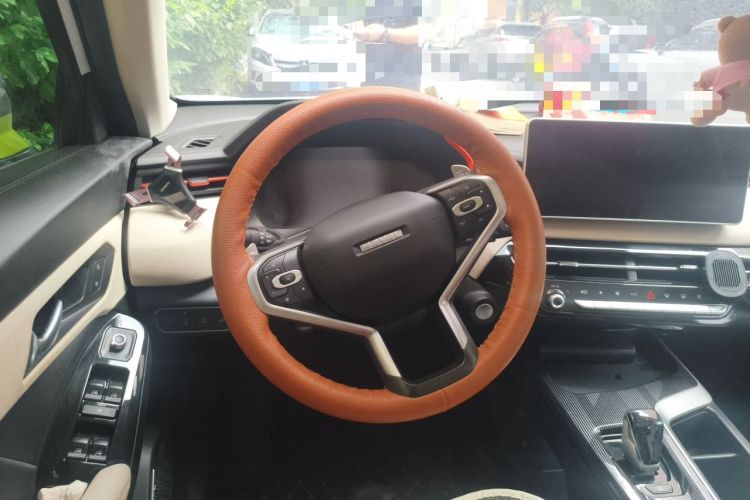 Used Haval LHERY 2021 High-Performance Version 1.5T Golden Rabbit Steering Wheel