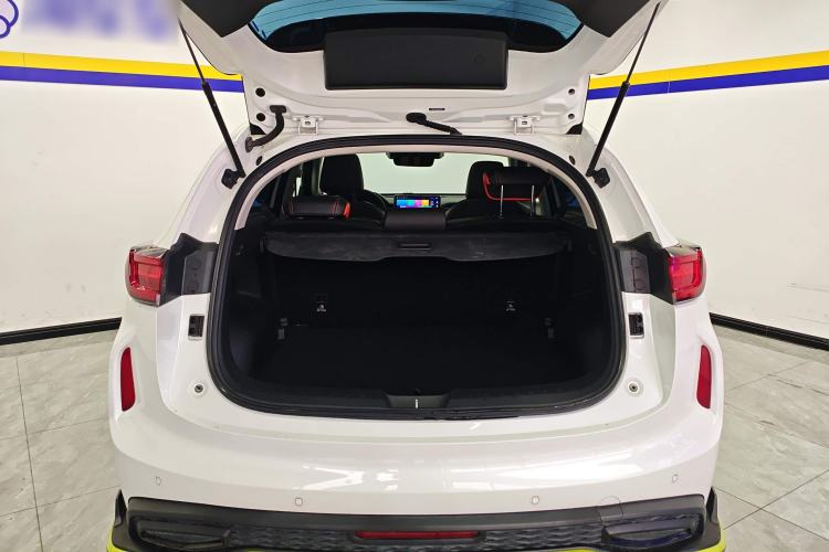 Used Haval LHERY 2021 GT Edition 1.5T Platinum Rabbit Trunk