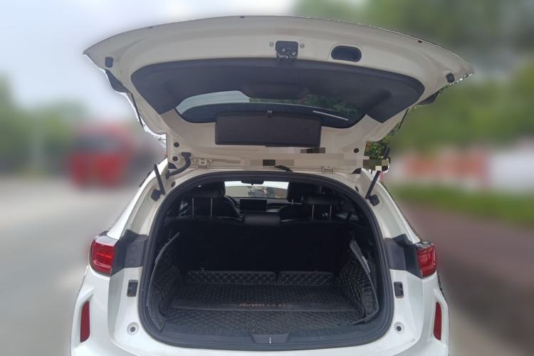 Used Haval LHERY 2021 High-Performance Version 1.5T Golden Rabbit Trunk