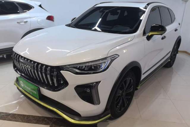 Used Haval LHERY 2021 High-Performance Version 1.5T Golden Rabbit