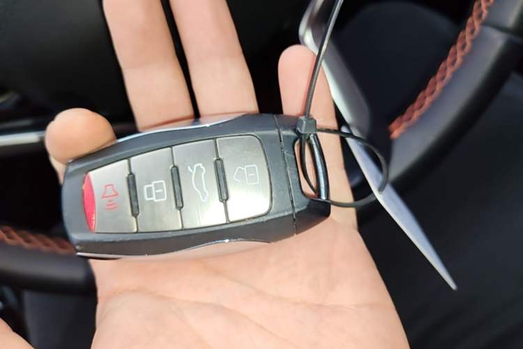Used Haval LHERY 2021 High-Performance Version 1.5T Golden Rabbit Vehicle Key