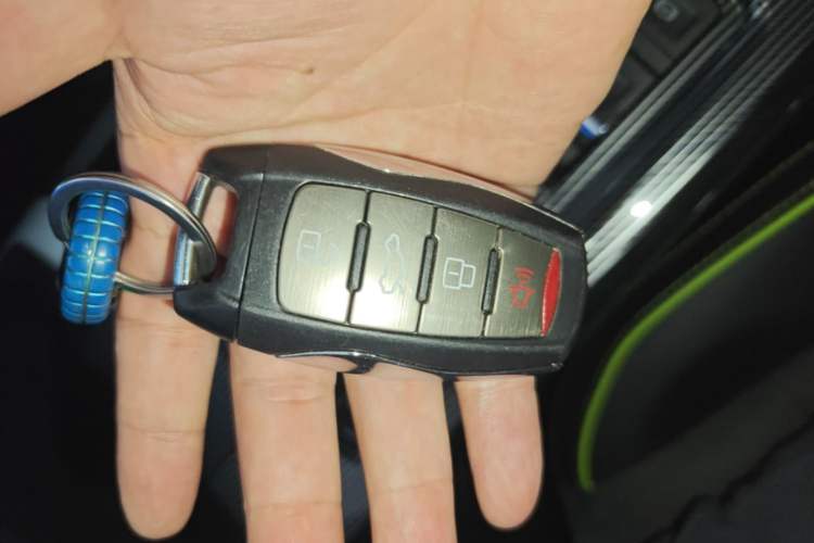 Used Haval LHERY 2021 GT Edition 1.5T Platinum Rabbit Vehicle Key