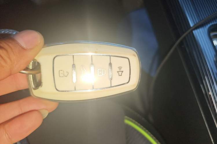 Used Haval LHERY 2021 High-Performance Version 1.5T Golden Rabbit Vehicle Key