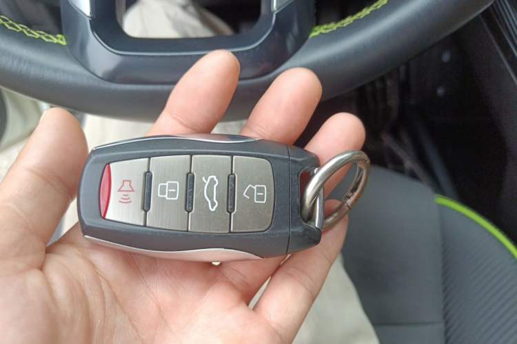 Used Haval LHERY 2021 High-Performance Version 1.5T Golden Rabbit Vehicle Key