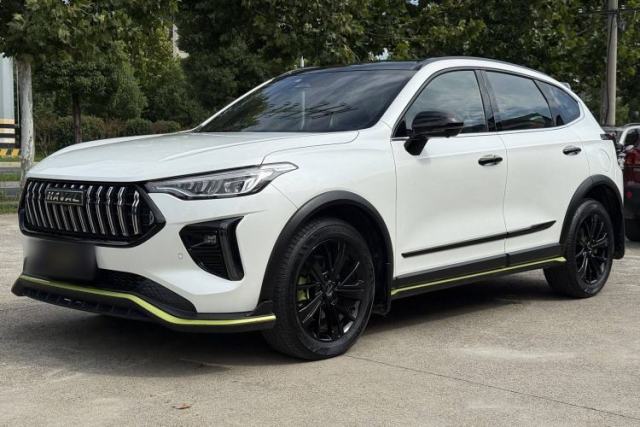 Used Haval LHERY 2021 High-Performance Version 1.5T Golden Rabbit