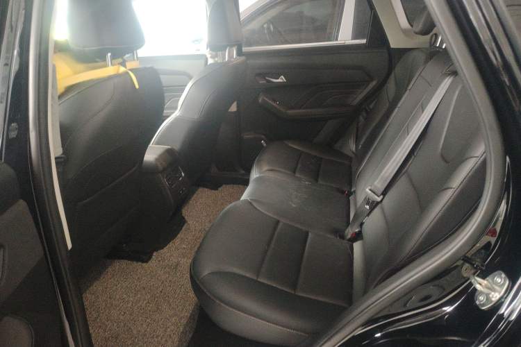 Used Haval LHERY 2022 Jingxiang Edition 1.5T Copper Rabbit Left Rear Seat