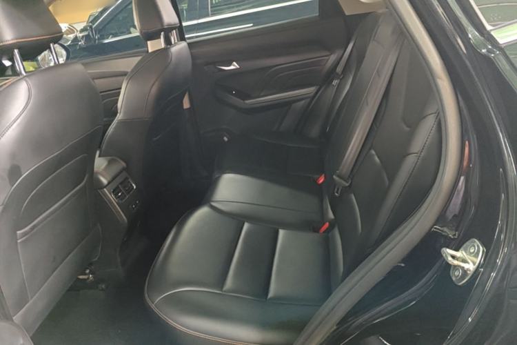 Used Haval LHERY 2022 Jingxiang Edition 1.5T Copper Rabbit Left Rear Seat
