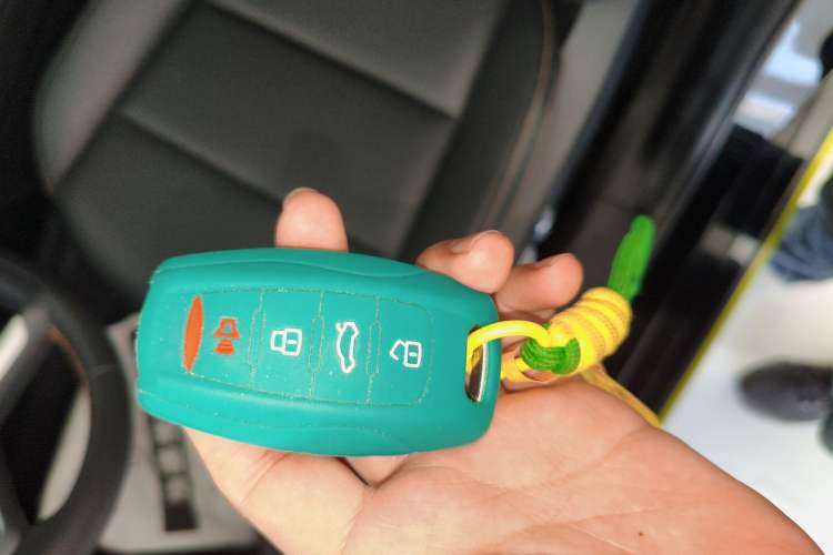Used Haval LHERY 2022 Jingxiang Edition 1.5T Copper Rabbit Vehicle Key