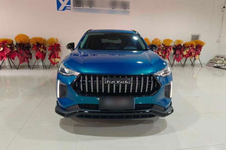 Used Haval LHERY 2022 Jingxiang Edition 1.5T Copper Rabbit Exterior 2
