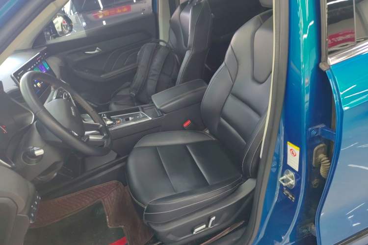 Used Haval LHERY 2022 Jingxiang Edition 1.5T Copper Rabbit Left Front Seat