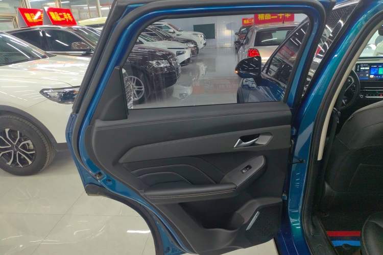 Used Haval LHERY 2022 Jingxiang Edition 1.5T Copper Rabbit Left Rear Door Interior