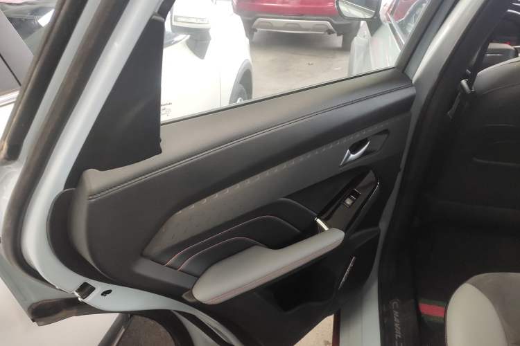 Used Haval LHERY 2022 1.5L DHT King Rabbit Left Rear Door Interior