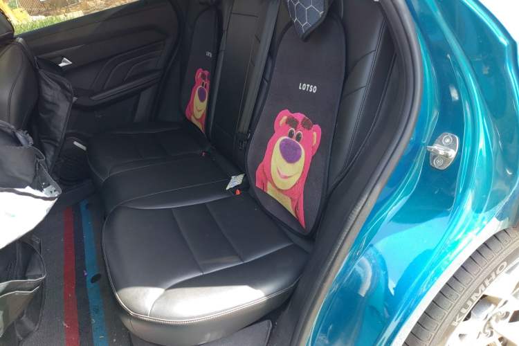 Used Haval LHERY 2022 Jingxiang Edition 1.5T Copper Rabbit Left Rear Seat