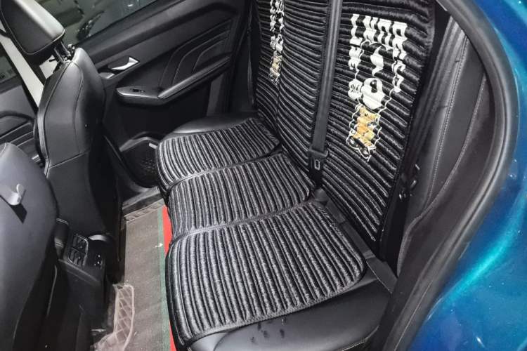 Used Haval LHERY 2022 Jingxiang Edition 1.5T Copper Rabbit Left Rear Seat