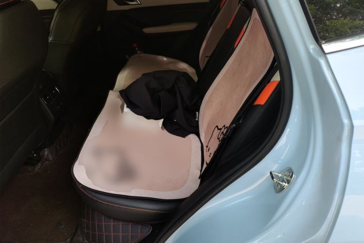 Used Haval LHERY 2022 1.5L DHT King Rabbit Left Rear Seat