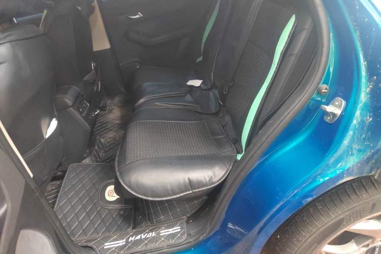 Used Haval LHERY 2022 Jingxiang Edition 1.5T Copper Rabbit Left Rear Seat
