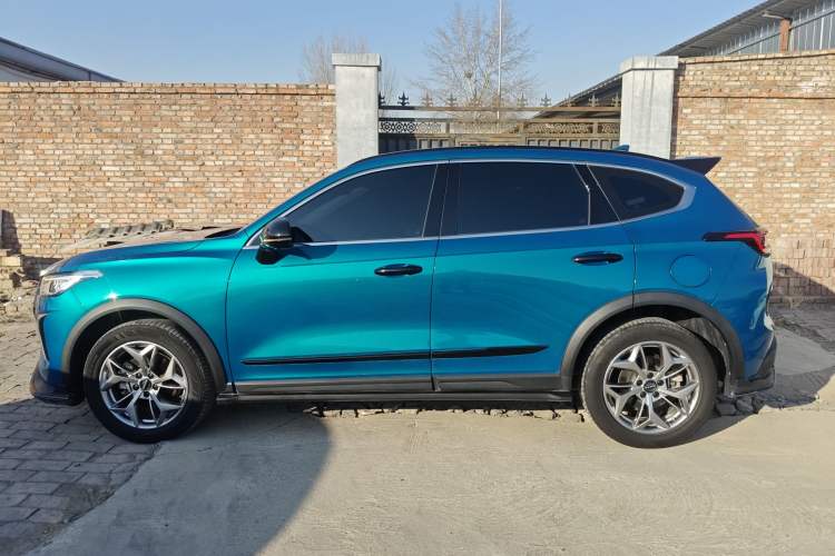 Used Haval LHERY 2022 Jingxiang Edition 1.5T Copper Rabbit Left Side