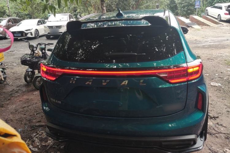 Used Haval LHERY 2022 Jingxiang Edition 1.5T Copper Rabbit Rear