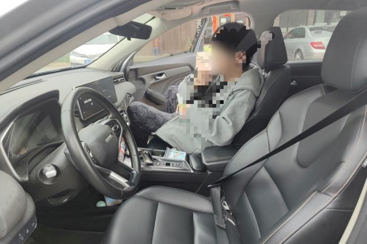 Used Haval LHERY 2022 Jingxiang Edition 1.5T Copper Rabbit Left Front Seat