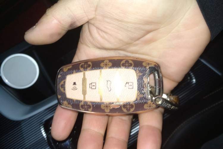 Used Haval LHERY 2022 Jingxiang Edition 1.5T Copper Rabbit Vehicle Key