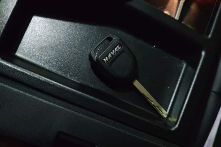 Used Haval LHERY 2022 Jingxiang Edition 1.5T Copper Rabbit Vehicle Key
