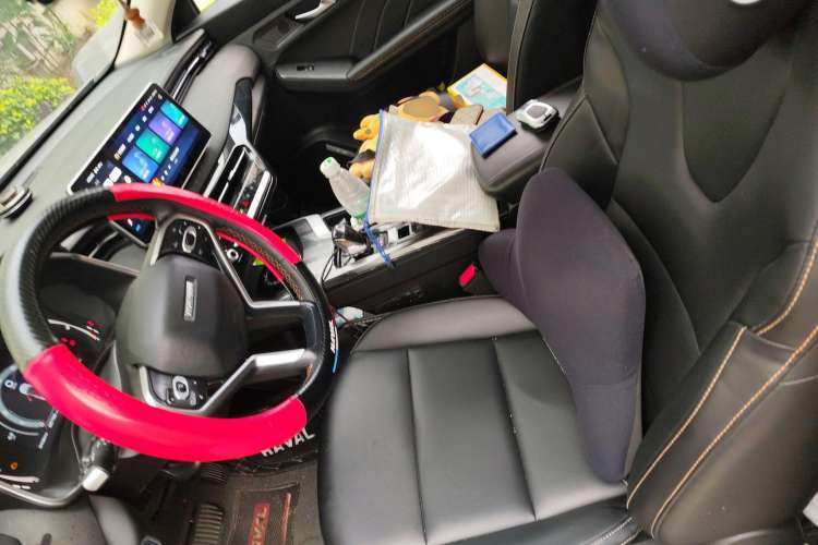 Used Haval LHERY 2022 Jingxiang Edition 1.5T Copper Rabbit Left Front Seat