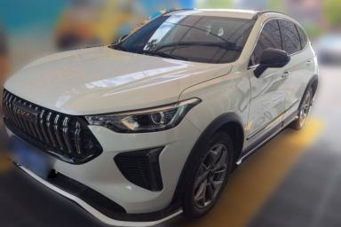 Used Haval LHERY 2022 Jingxiang Edition 1.5T Brass Rabbit