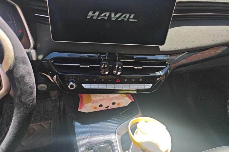 Used Haval LHERY 2022 Jingxiang Edition 1.5T Copper Rabbit Audio And AC Panel