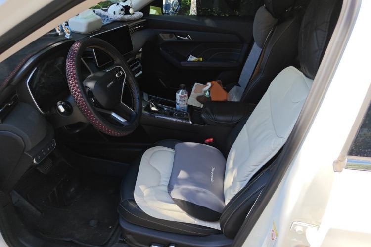 Used Haval LHERY 2022 Jingxiang Edition 1.5T Copper Rabbit Driver Seat