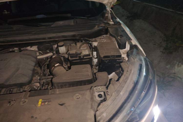 Used Haval LHERY 2022 Jingxiang Edition 1.5T Copper Rabbit Engine Bay Left