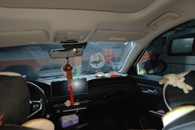 Used Haval LHERY 2022 Jingxiang Edition 1.5T Copper Rabbit Headliner