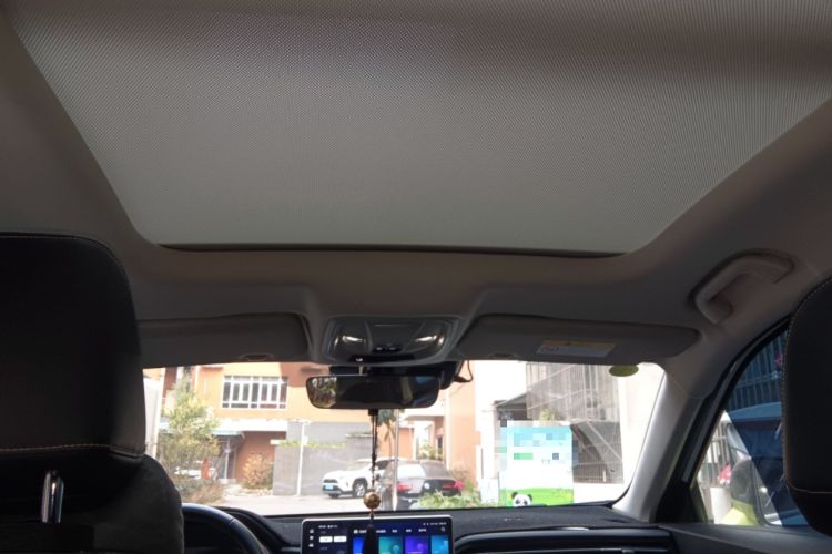 Used Haval LHERY 2022 Jingxiang Edition 1.5T Copper Rabbit Headliner