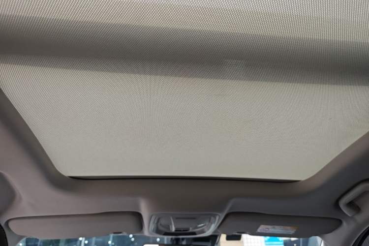 Used Haval LHERY 2022 Jingxiang Edition 1.5T Brass Rabbit Headliner