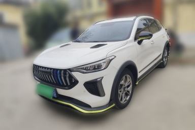 Used Haval LHERY 2022 Jingxiang Edition 1.5T Copper Rabbit
