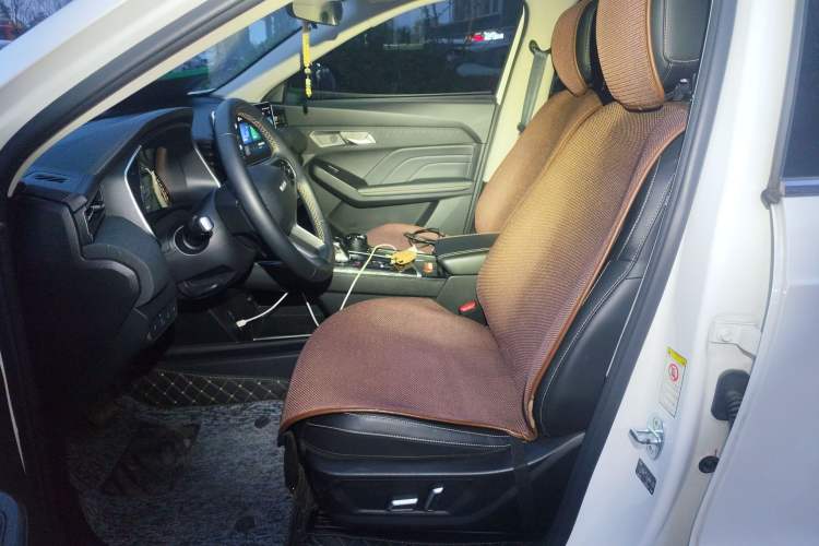 Used Haval LHERY 2022 Jingxiang Edition 1.5T Copper Rabbit Left Front Seat