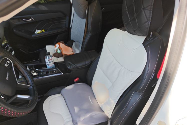Used Haval LHERY 2022 Jingxiang Edition 1.5T Copper Rabbit Left Front Seat