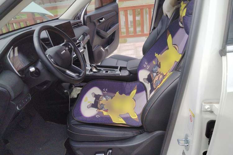 Used Haval LHERY 2022 Jingxiang Edition 1.5T Copper Rabbit Left Front Seat