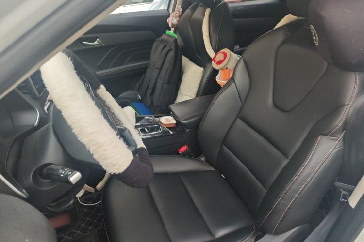 Used Haval LHERY 2022 Jingxiang Edition 1.5T Copper Rabbit Left Front Seat