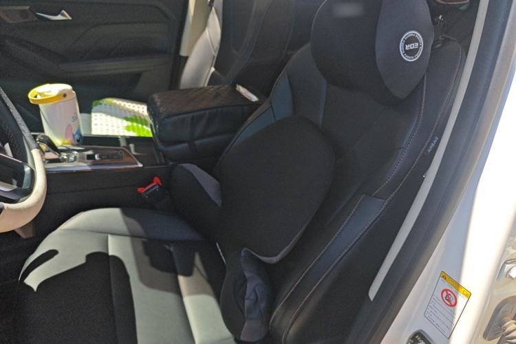 Used Haval LHERY 2022 Jingxiang Edition 1.5T Copper Rabbit Left Front Seat