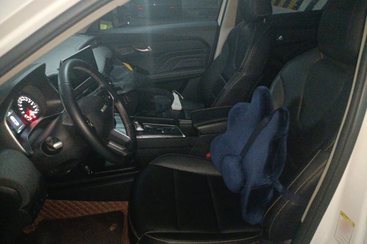 Used Haval LHERY 2022 Jingxiang Edition 1.5T Brass Rabbit Left Front Seat