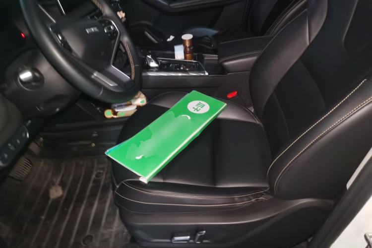 Used Haval LHERY 2022 Jingxiang Edition 1.5T Copper Rabbit Left Front Seat